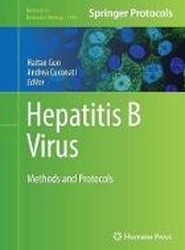 Hepatitis B Virus