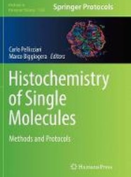 Histochemistry of Single Molecules