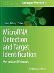 MicroRNA Detection and Target Identification