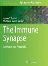 The Immune Synapse