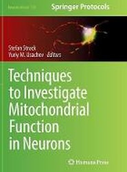 Techniques to Investigate Mitochondrial Function in Neurons