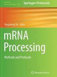 mRNA Processing