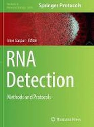RNA Detection