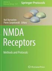 NMDA Receptors