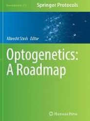 Optogenetics: A Roadmap
