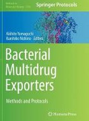 Bacterial Multidrug Exporters