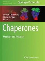 Chaperones