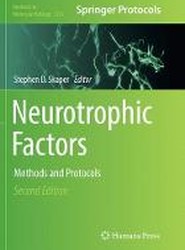 Neurotrophic Factors