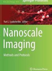 Nanoscale Imaging
