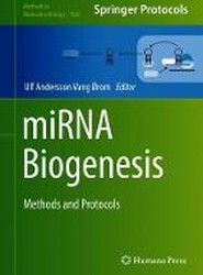 miRNA Biogenesis