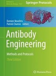 Antibody Engineering