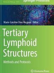 Tertiary Lymphoid Structures