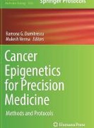 Cancer Epigenetics for Precision Medicine