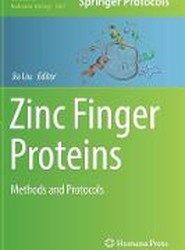 Zinc Finger Proteins