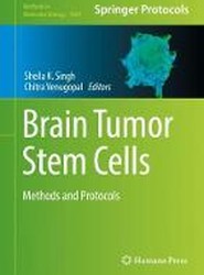 Brain Tumor Stem Cells