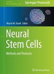 Neural Stem Cells