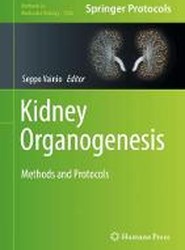 Kidney Organogenesis