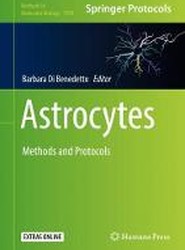 Astrocytes