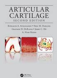 Articular Cartilage