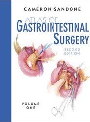 Atlas of Gastrointestinal Surgery, Volume 1