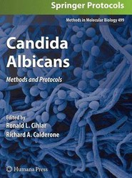 Candida Albicans