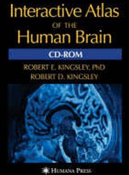 Interactive Atlas of the Human Brain