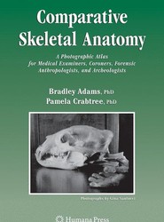 Comparative Skeletal Anatomy