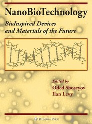 NanoBioTechnology