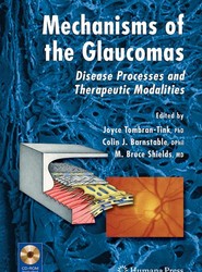 Mechanisms of the Glaucomas