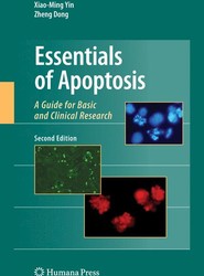 Essentials of Apoptosis