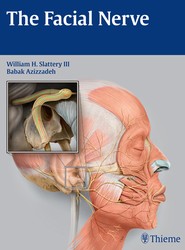 The Facial Nerve