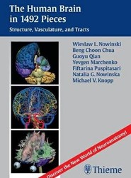The Human Brain in 1492 Pieces: Structures, Vasculature and Tracts