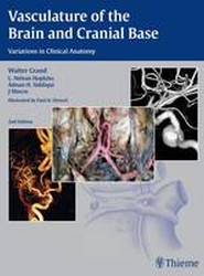 Vasculature of the Brain and Cranial Base