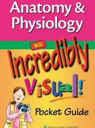 Anatomy & Physiology: An Incredibly Visual! Pocket Guide