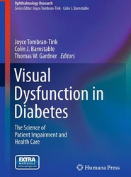 Visual Dysfunction in Diabetes