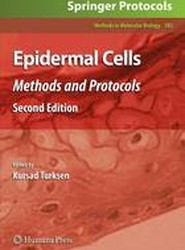 Epidermal Cells