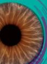 Diabetic Retinopathy