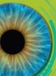 Moscas Volantes y Destellos