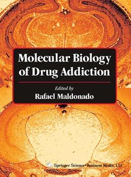 Molecular Biology of Drug Addiction