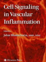 Cell Signaling in Vascular Inflammation