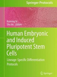 Human Embryonic and Induced Pluripotent Stem Cells