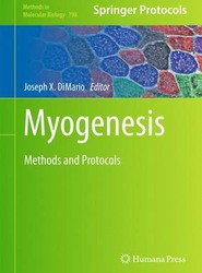 Myogenesis