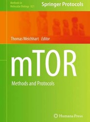 mTOR