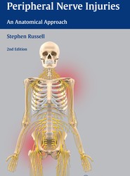 Examination of Peripheral Nerve Injuries: An Anatomical Approach