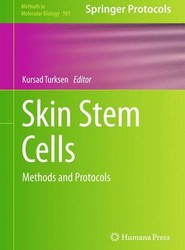 Skin Stem Cells