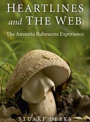 Heartlines and The Web - The Amanita Rubescens Experience