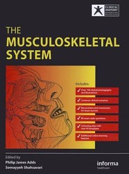 The Musculoskeletal System
