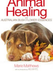 Animal Healing with Australian Bush Flower Essences