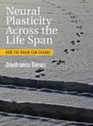 Neural Plasticity Across the Lifespan