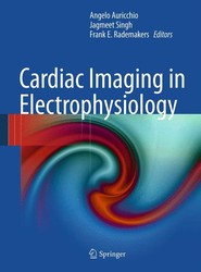 Cardiac Imaging in Electrophysiology